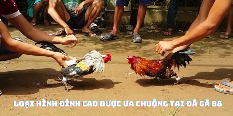 Một vài loại hình đỉnh cao được ưa chuộng tại Daga88